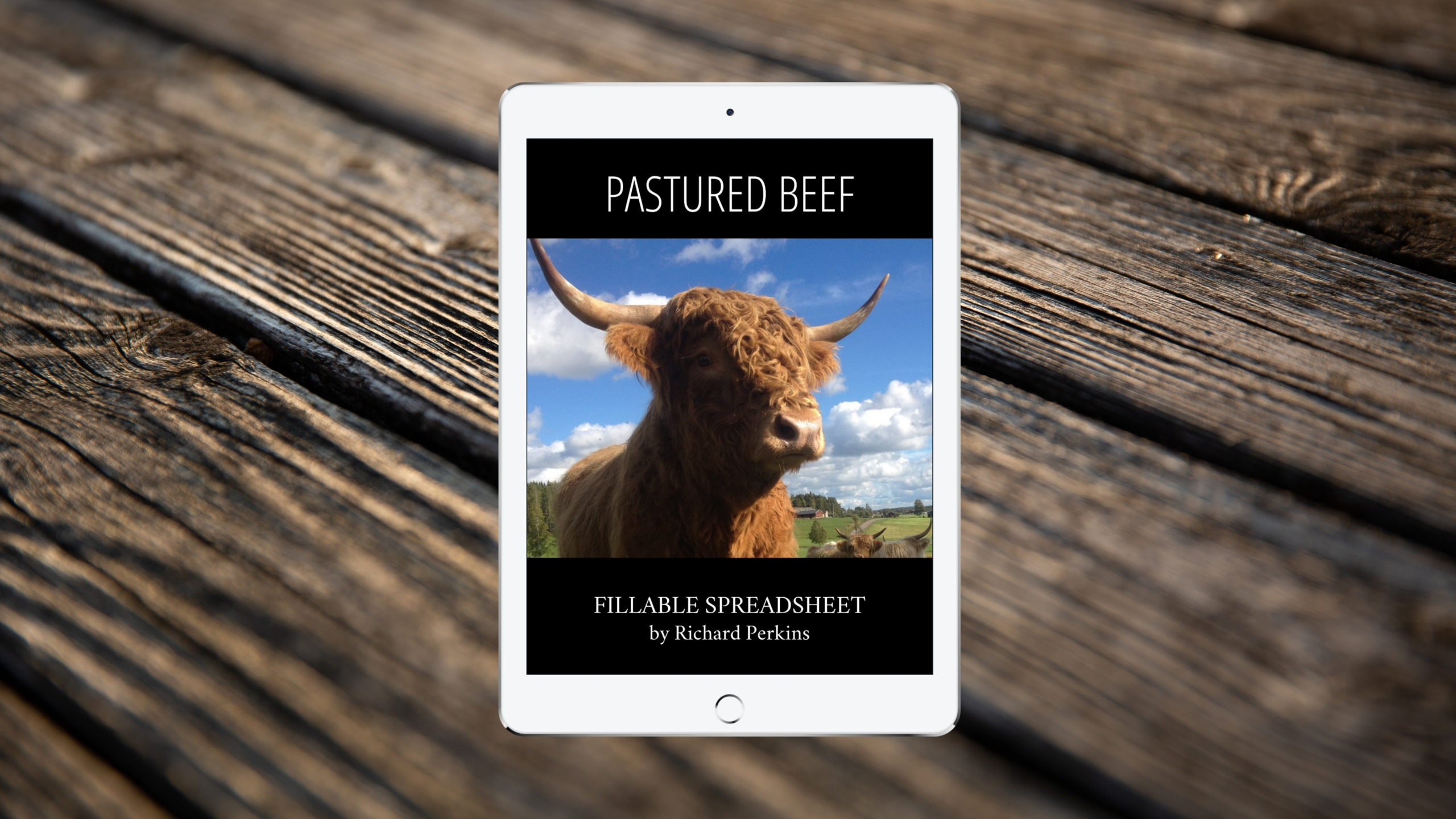 RichardPerkins_RAM_MiniSeries_Gift3_PasturedBeefEnterpriseWorksheet