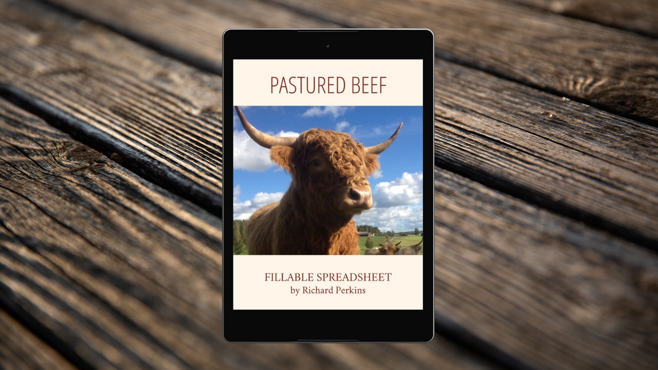 BeefSpreadsheet